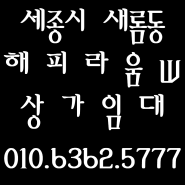 2-2 생활권 / 새롬동 해피라움W / 세종시 상가 임대 / 새롬동 상가 임대 / 세종시 상가추천