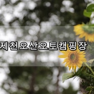 낚시 캠핑장 제천오산캠핑장 사이트 리뷰