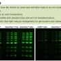 [Abpbio] Nucleic Acid Gel Stains(핵산 젤 염색시약)