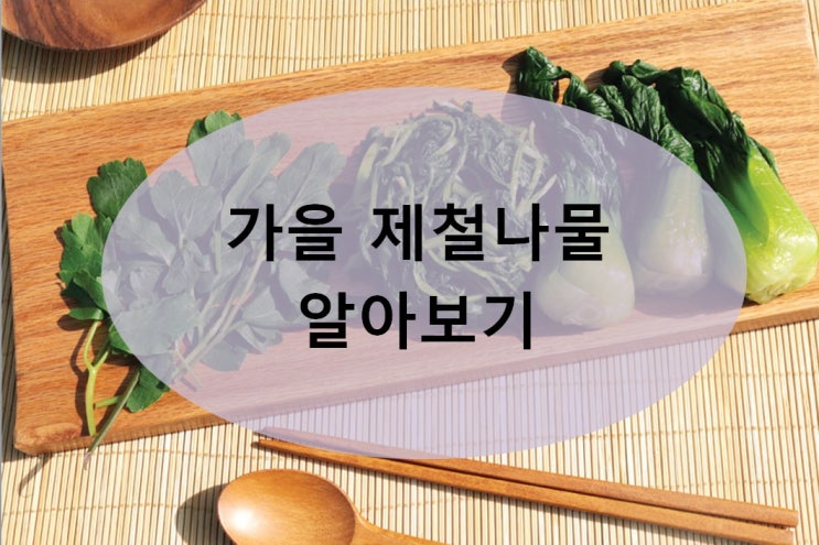 가을 반찬 해결을 위한 제철나물 알아보기 : 네이버 블로그