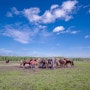 [2018 러시아] 숨겨진 말농장, 2시간 동안의 말타기.