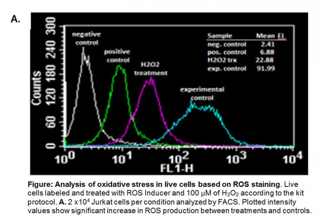 [과수/과일/채소/견과류 검사][활성산소 측정/분석/정량 키트] Reactive Oxygen Species (ROS ...
