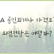 CPA 공인회계사 자격조건, 취업전망은?