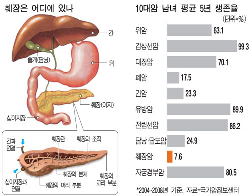 췌장의구조와 기능과작용 : 네이버 블로그