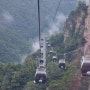 중국 장가계여행 2 천자산 자연보호구, 원가계, 천하제일교, 미혼대, 백룡엘리베이터
