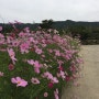 군위군가볼만한곳-10월축제하는곳-군위군농산물축제-가을에 가볼만한곳