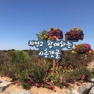 경기도 시흥 가볼만한 곳 :: 시흥 갯골생태공원