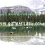#5. 캐나다 로키 캠핑 여행 / Lake O'hara (레이크 오하라) : 로키의 숨은 보석