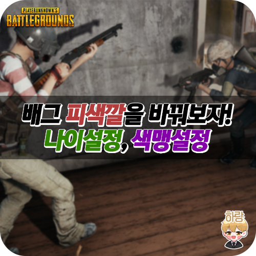 [배틀그라운드] 배그 피색깔 바꾸는법 설정 (파란색 피, 초록색 피, 보라색 피, 갈색 피) 보급 연기 색깔 바꾸기 : 네이버 블로그