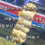 [용문시장] 서울에서 먹어본 오뎅중 가장 부산오뎅과 근접한 그집~!! 용문시장 부산오뎅 +_+