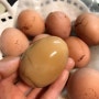 전기밥솥으로 맥반석 계란 만드는 법!! 초간단!!