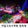 아침고요수목원 오색별빛정원전 겨울 빛축제는 여기지