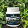 [뉴질랜드 현지 구매대행] 굿헬스 초록입홍합 (머슬) 6000 (Goodhealth Mussel 6000)
