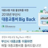 2018년 부산시 대중교통비 Big Back