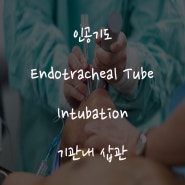 Intubation(기관내삽관), Endotracheal tube(E-tube 간호, 고정, 적응증, 물품, 절차)