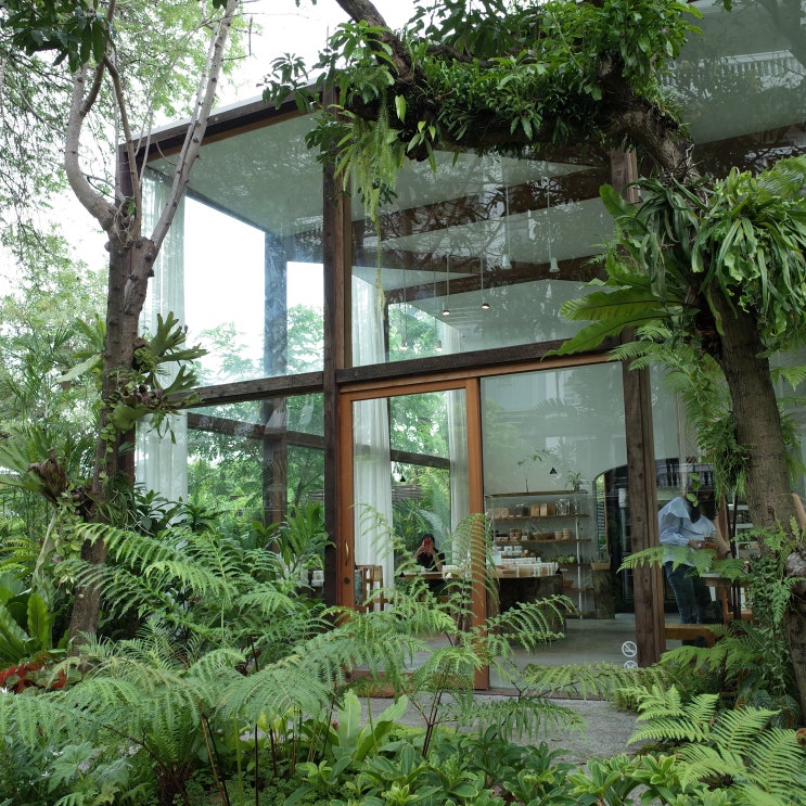 Patom Organic Living, Bangkok : 네이버 블로그