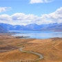 [뉴질랜드 여행] 테카포 호수의 전망을 내려다 보는 아찔한 ASTRO CAFE