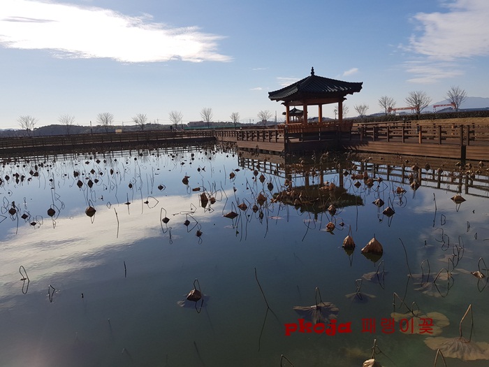 사남면 초전공원 연못