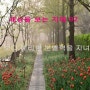 [도서정보]세상을보는지혜92-보다 예리한 분별력을 지녀라(희망매니아) .