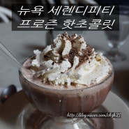 뉴욕 세렌디피티 3(영화 Serendipity 촬영지)_프로즌 핫초콜릿(frozen hot chocolate)_아이스코코아