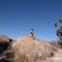 [미국서부여행] 두 아이와 여행, 아이들과 가족여행 / ① - Joshua Tree National Park, Palm Springs