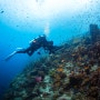 Underwater Photographer