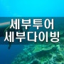 [세부투어]세부다이빙/세부스쿠버다이빙