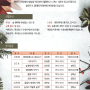 [숲연구소]입문과정 164기 모집안내(2월)