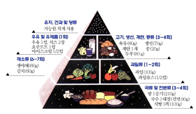 우리 몸의 필요한 6대 영양소! : 네이버 블로그