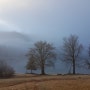 [발칸반도3] 알프스의 눈물, 슬로베니아 보히니 호수의 아침 풍경