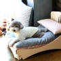 바늘나무두그루 원목 강아지침대 애견침대 쿠션방석 뉴-디자인