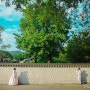 창원,김해,부산 돌스냅 포토비-창원의집 야외촬영