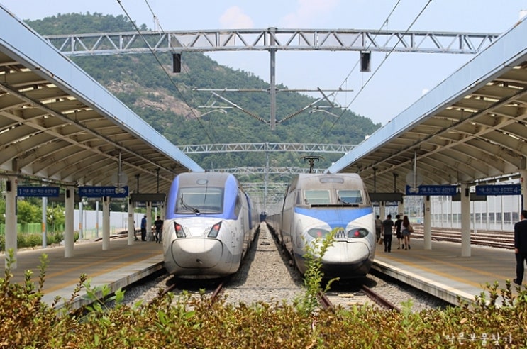 여수엑스포역 기차(열차) ktx 시간표, 요금표 : 네이버 블로그