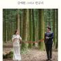 결혼준비 #13 봄티비카드 (모바일청첩장 & 식전영상)