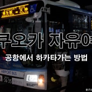일본 버스타는법 & 후쿠오카 공항버스 시간표 (공항에서 하카타역까지 버스로 가는 방법)