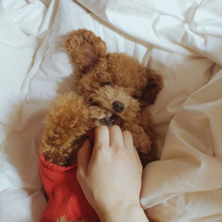 양념이 뒹굴뒹굴 마스터하다!! : 네이버 블로그