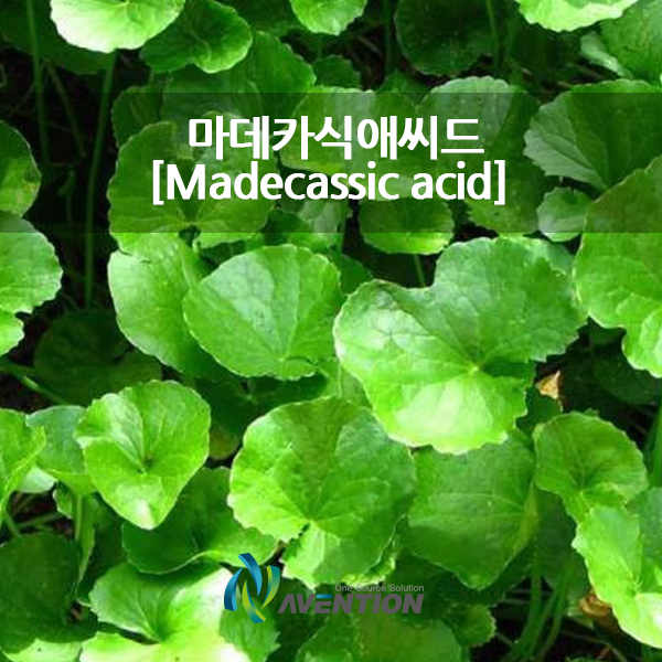 [마데카식애씨드] Madecassic acid / CAS 18449-41-7 : 네이버 블로그