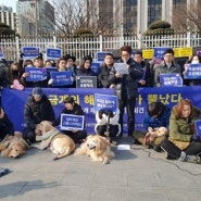 동물단체 "반려견 입마개 착용 의무화 과도하다…실효성 없어"