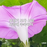 보청기 보다 사람(난청인, 청각전문가)에 주목하다