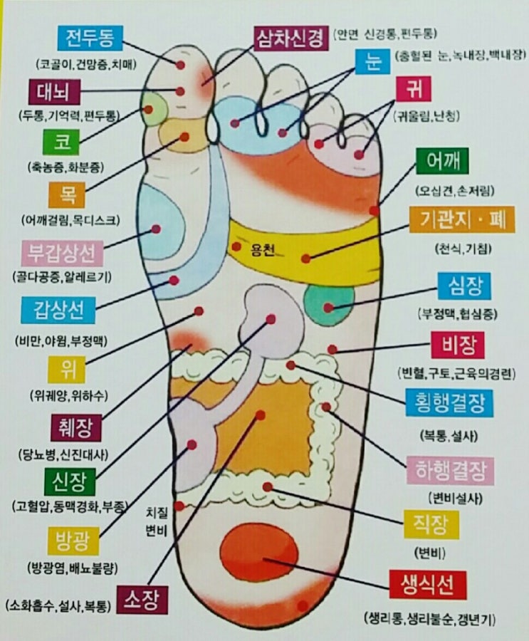 알아두면 편리한 발지압법 : 네이버 블로그