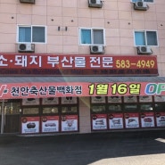 천안소돼지부산물 전문, 천안축산물백화점 OPEN