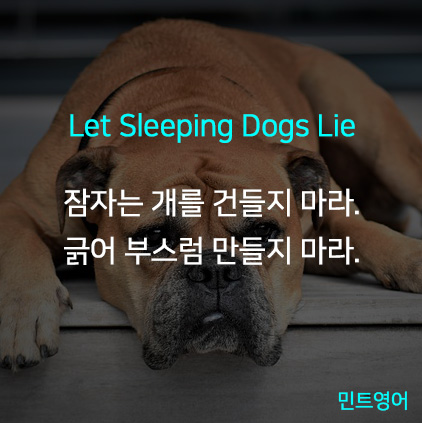 Expressão idiomática em inglês – Let sleeping dogs lie – Inglês