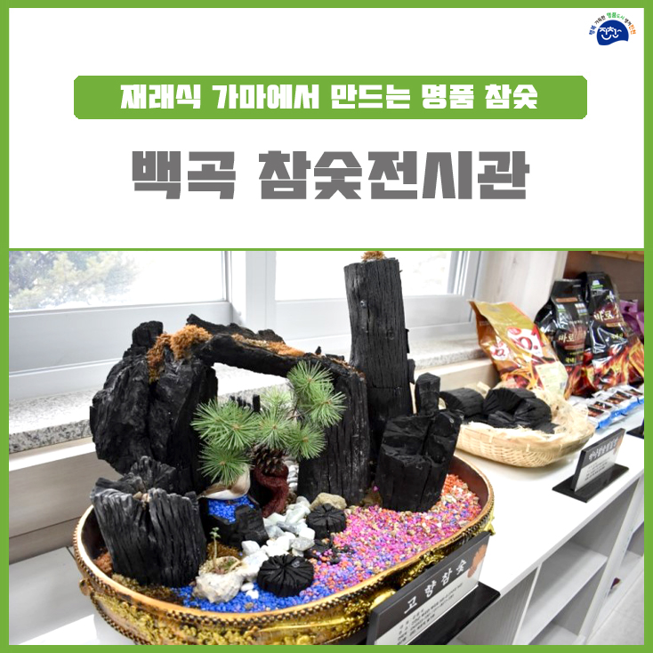진천 가볼만한 곳 - 생거진천 명품참숯, 백곡지 참숯테마공원 참숯전시관 : 네이버 블로그