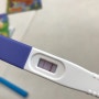 둘째일기 - 임신 확인 및 태몽 임신 6주 차