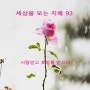 [세상을보는지혜93] 사랑받고 호의를 얻으라.(희망매니아)