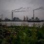 [영문기사 번역 - 04] China's effot to cut emissions - New York Times
