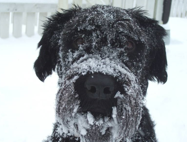 을 추운 밖에 남기다. 을 제외하다, 에게 알리지 않다 leave someone (out) in the cold 네이버 블로그