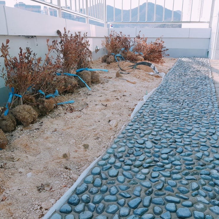 용궁산업 / 해미석 / 자갈박기 / 지압보도 / 옥상조경 / 자갈 / 흑자갈 / 백자갈 : 네이버 블로그