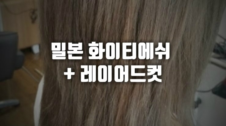 Σ 에쉬컬러 염색 : 밀본 화이티에쉬 + 레이어드컷 : 네이버 블로그