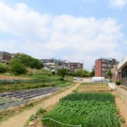 충남 홍성 홍성초교 공동주택 120세대시행